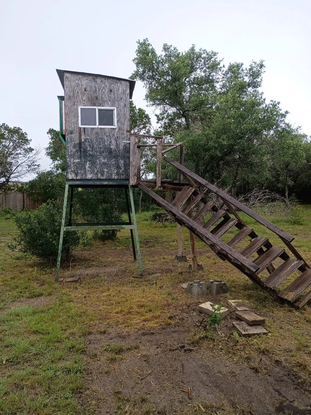 Custom-built elevated deer blind with access ladder